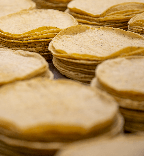 Tortillas Nixtamal